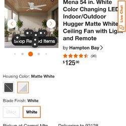 Ceiling Fan With Light