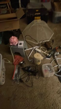 Natural Shed Deer Antler shelf brackets shower head pencil sharpener hard boil egg maker elephant candle power strips 2 Roku with remotes dart flights