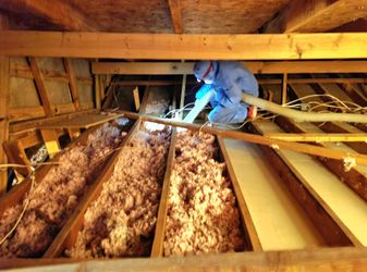 Just attic insulation