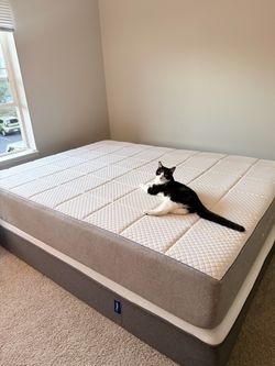 Nectar Mattress (Queen)