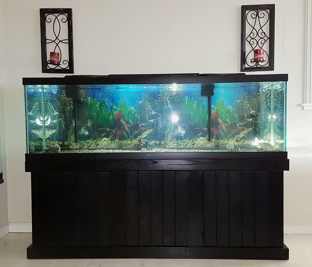 130 Gallon Fish Aquarium 