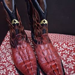 Young  boots  crocodile