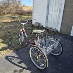 Sun Adult Tricycle 