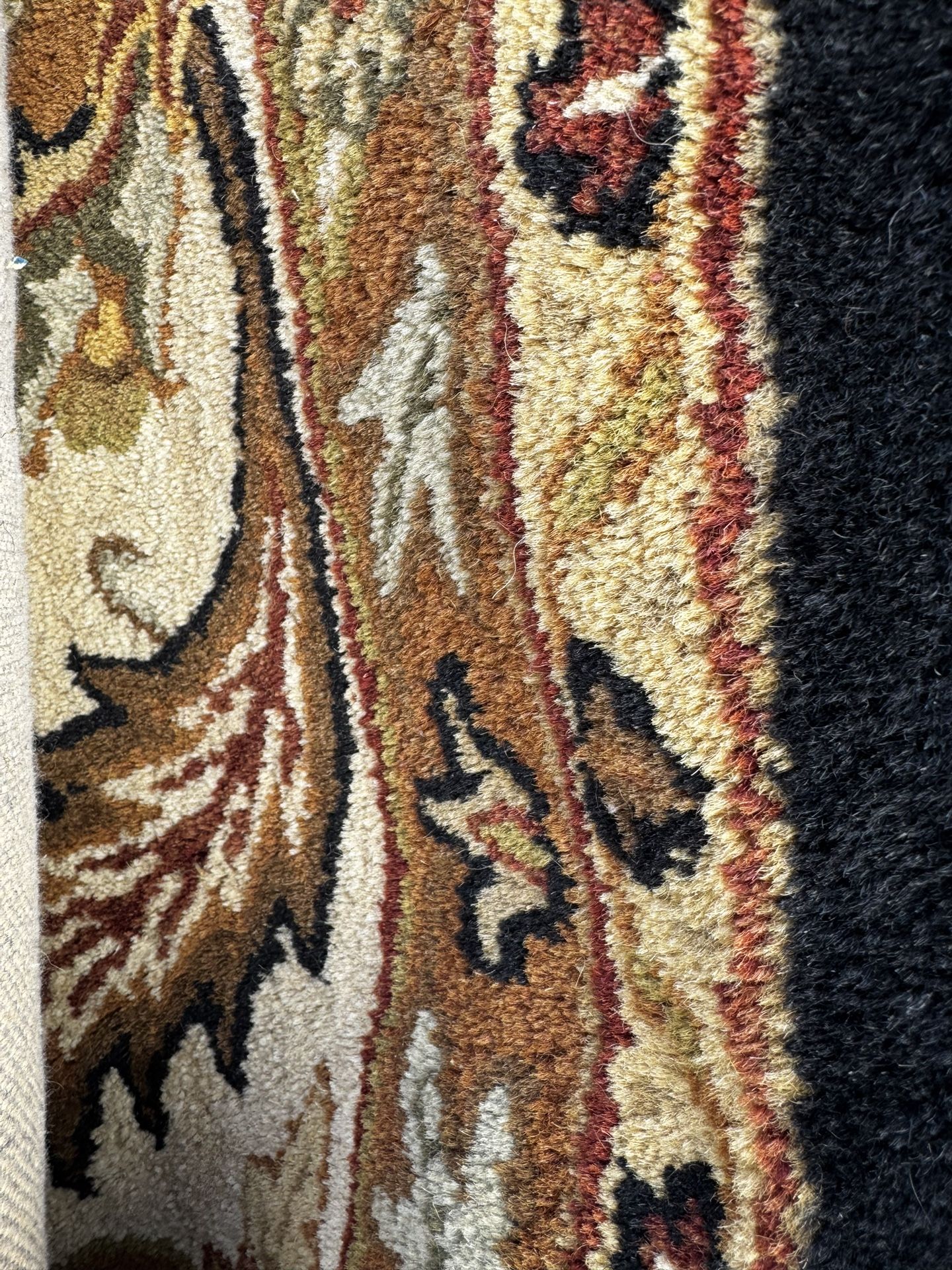 MOMENI AREA RUG