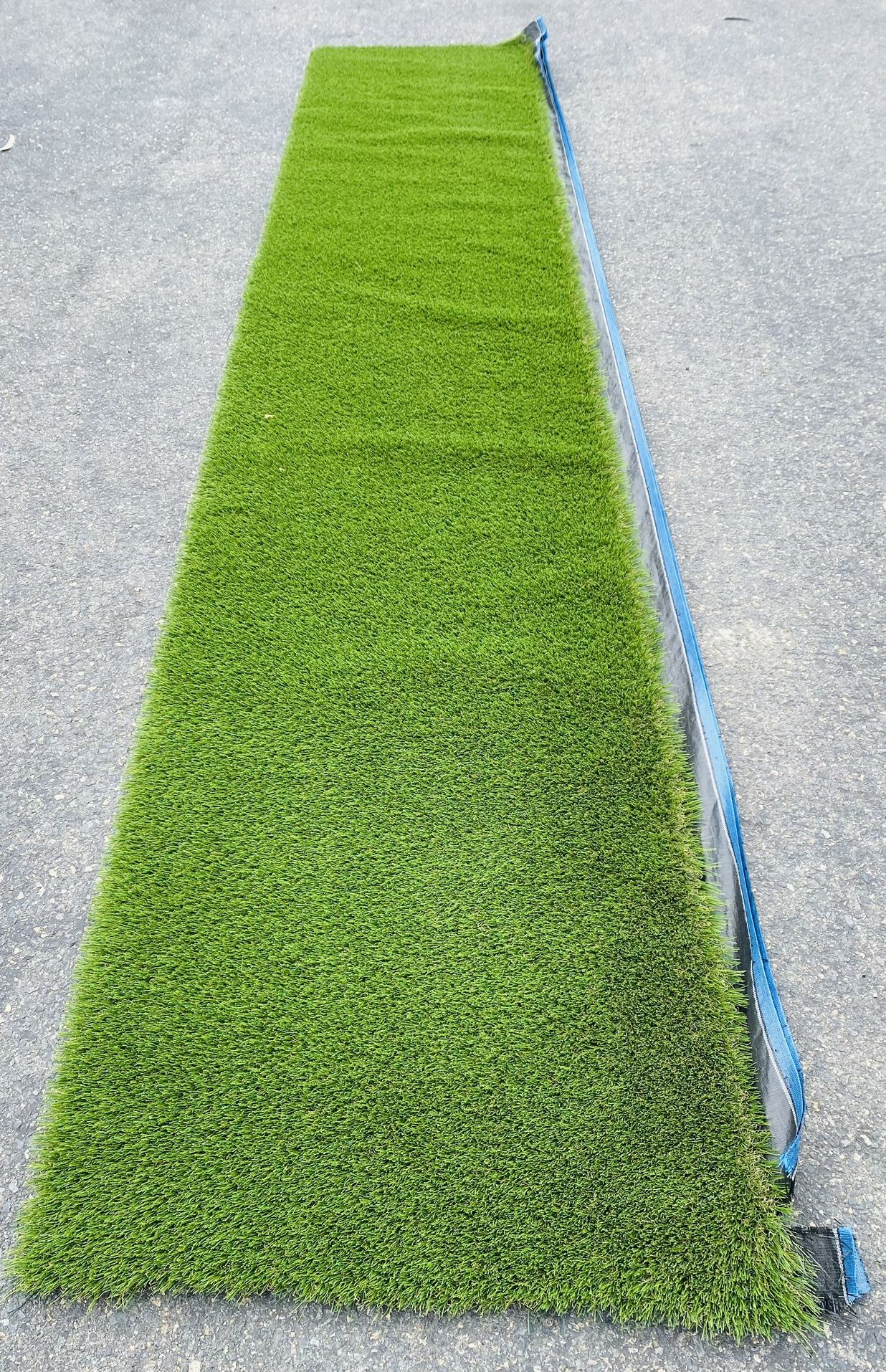 Artificial Grass