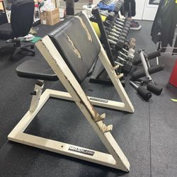 Maxicam Preacher Curl Bench