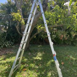 Werner Ladder 21’ Adjustable Workhorse