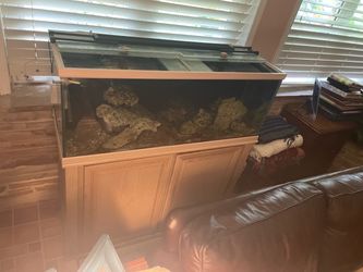 Large Glass Aquarium Tank with Wood Stand