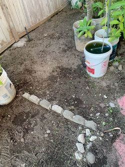 6 space for gardening