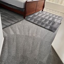 Carpet/ Area Rugs/ Tile