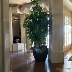 Artificial Tree In  Large Ceramic Pot