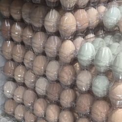 Eggs