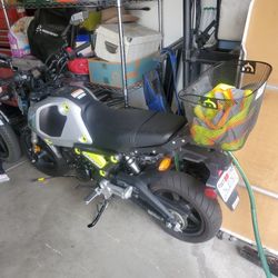 Honda grom The real thing 2023