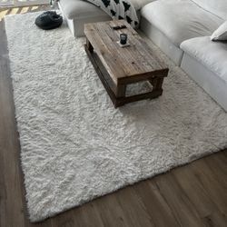 8x10 Ft Area Rug 