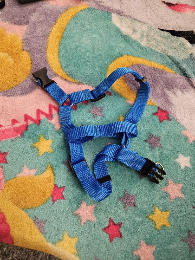 Dog Harness