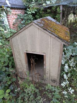 Doghouse, Open Door