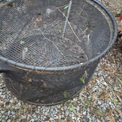 Fish Hatcher.   Criadero De peces