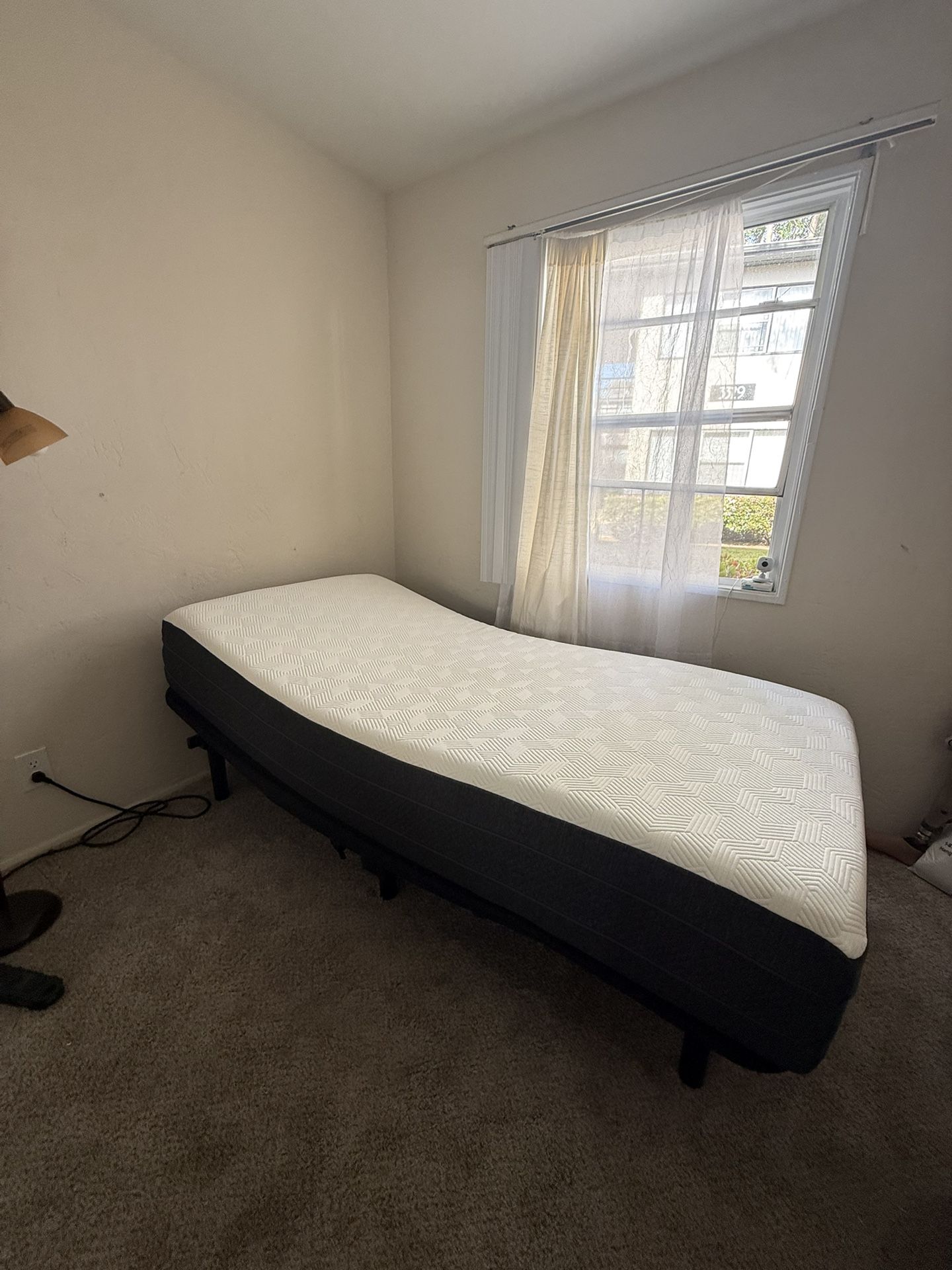 Twin Bed Without the frame 38in x 76in