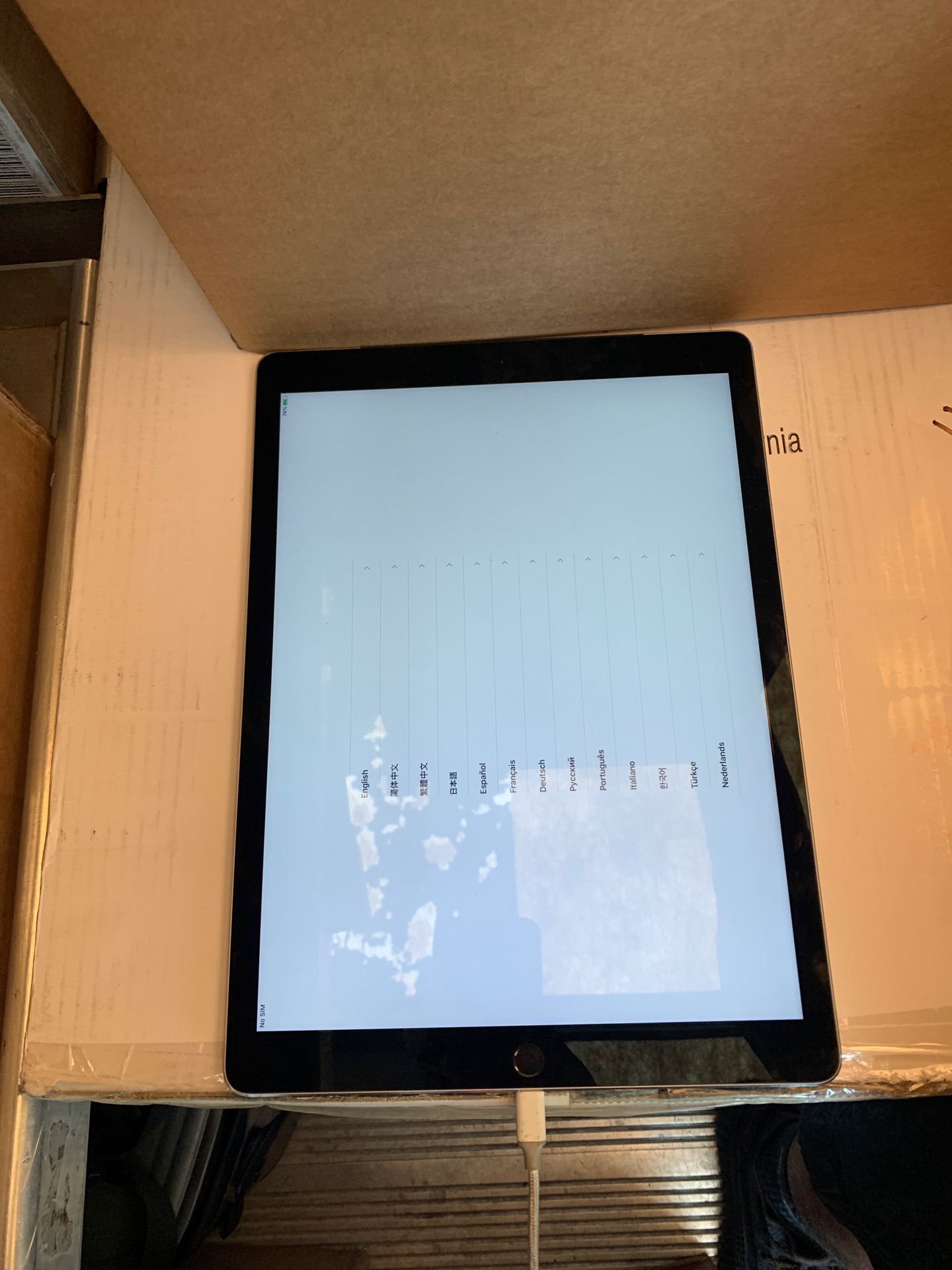 Ipad (pick up only) 300