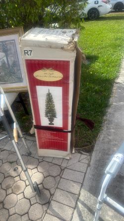 Christmas Outside Tree