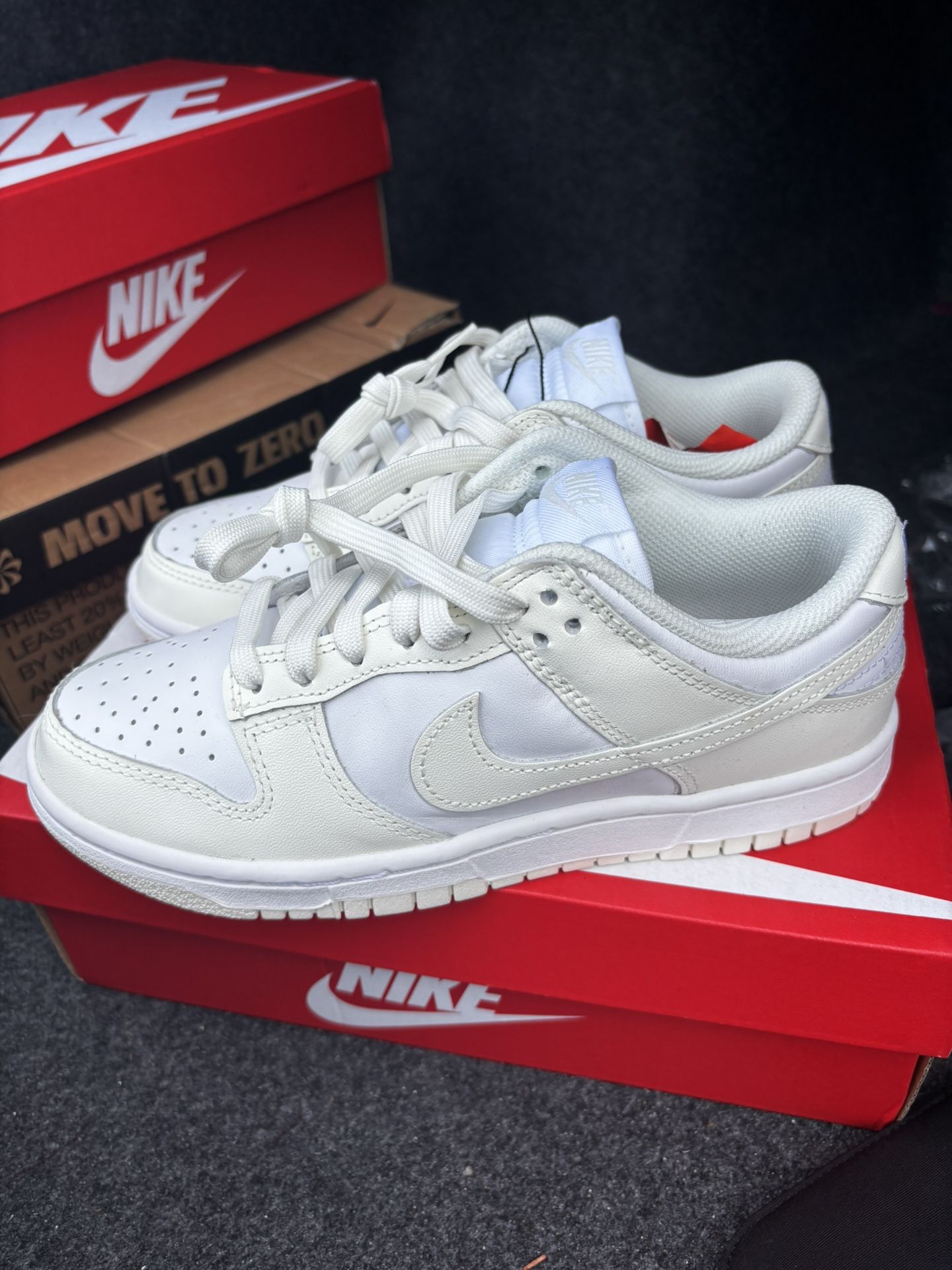 Nike Dunks I