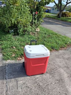Cooler