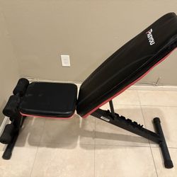 Workout Bench 