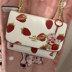 Strawberry Coach Bag