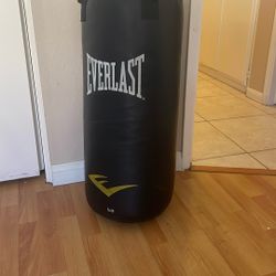 Everlast Punching Bag
