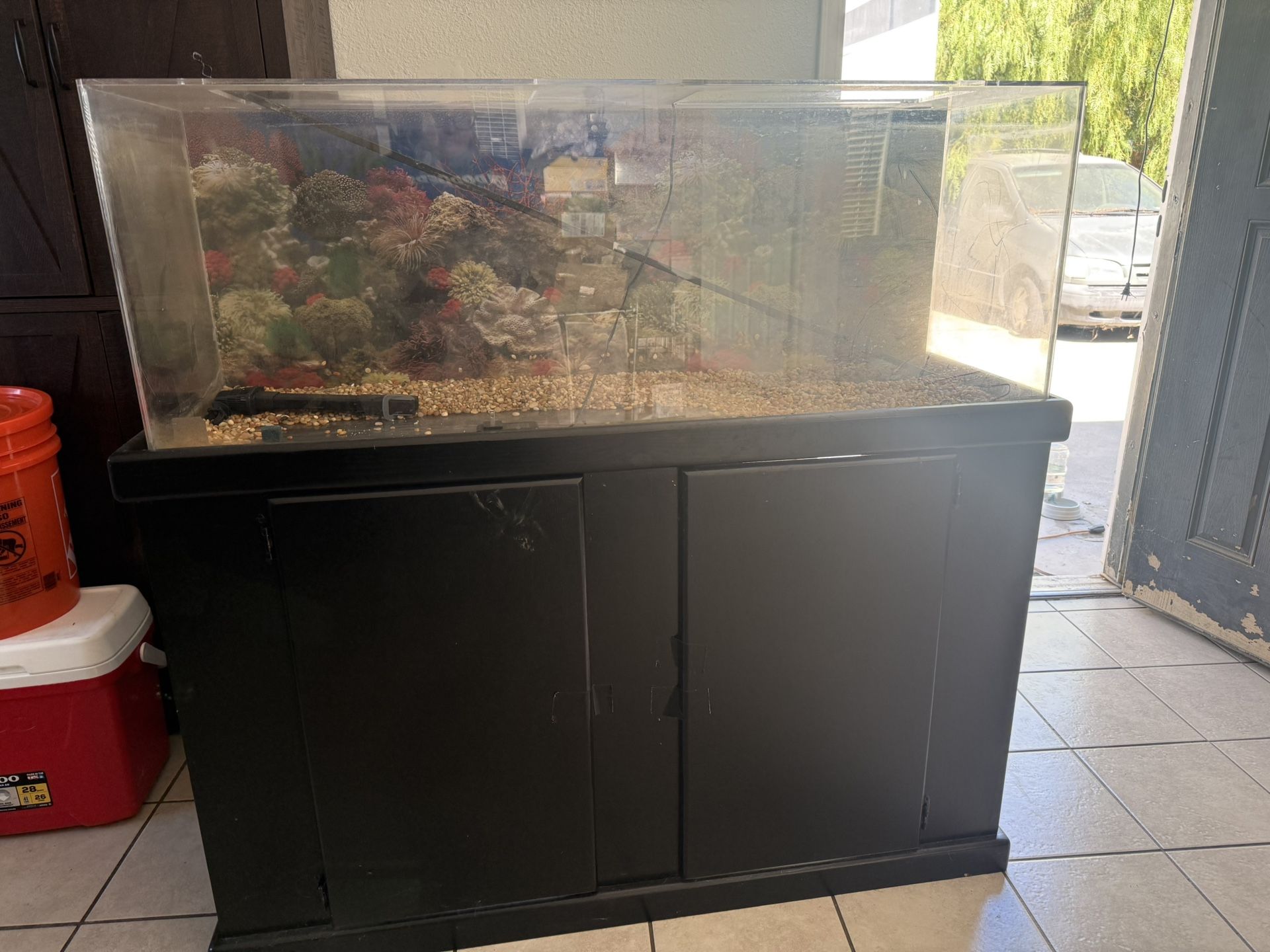Fish Tank 