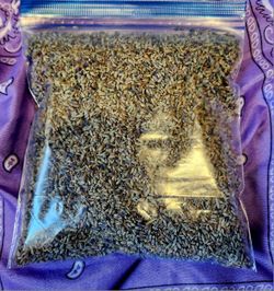 Dried Lavender Flowers 