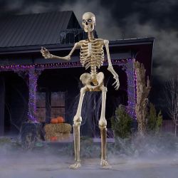 12ft Giant Halloween Skeleton with LED Eyes