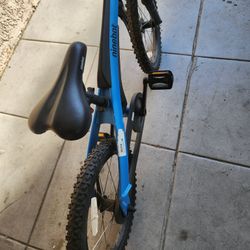 Child’s Bike 