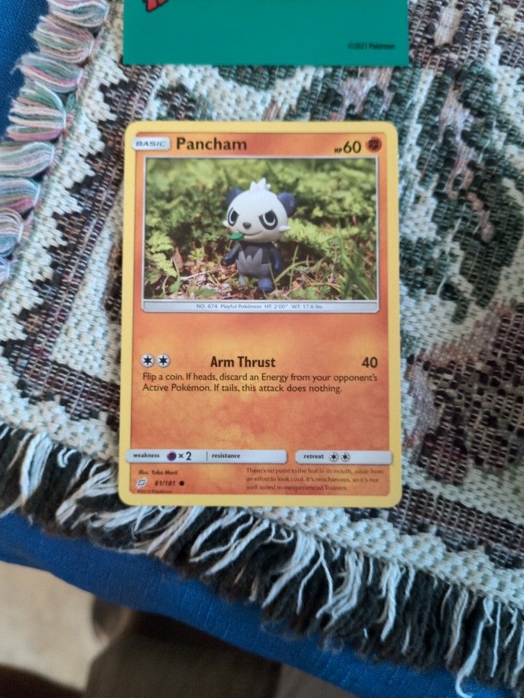 app to check pokemon card value Look at the Kitties Foil Edition  TCGFIX
