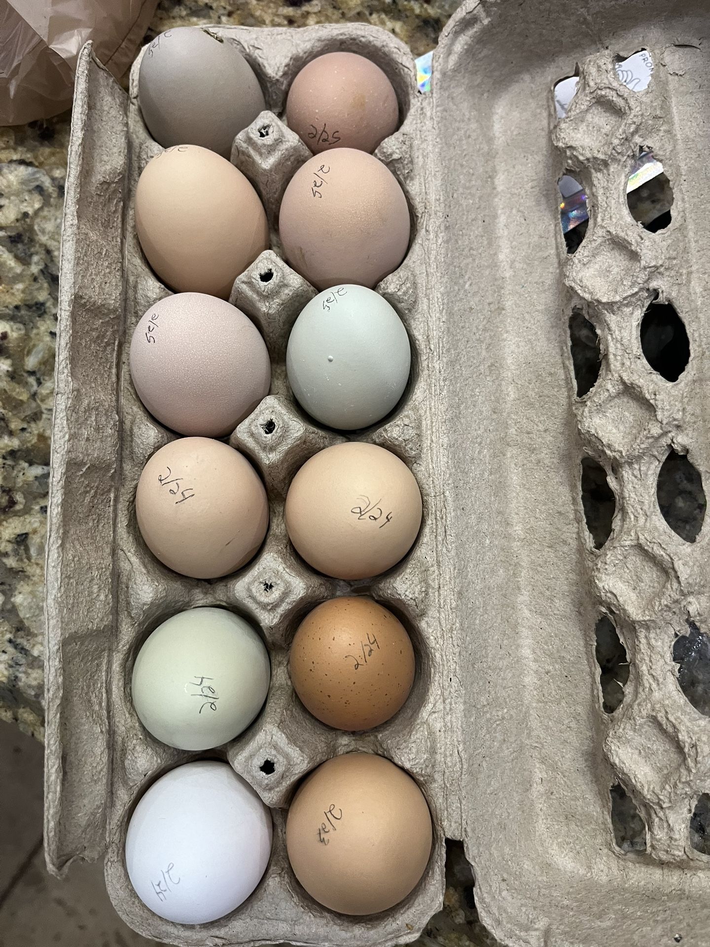 Farm Fresh Organic Eggs