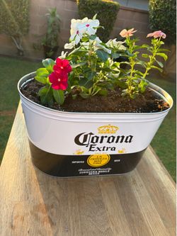 Custom Corona Bucket Planter 🍺💐