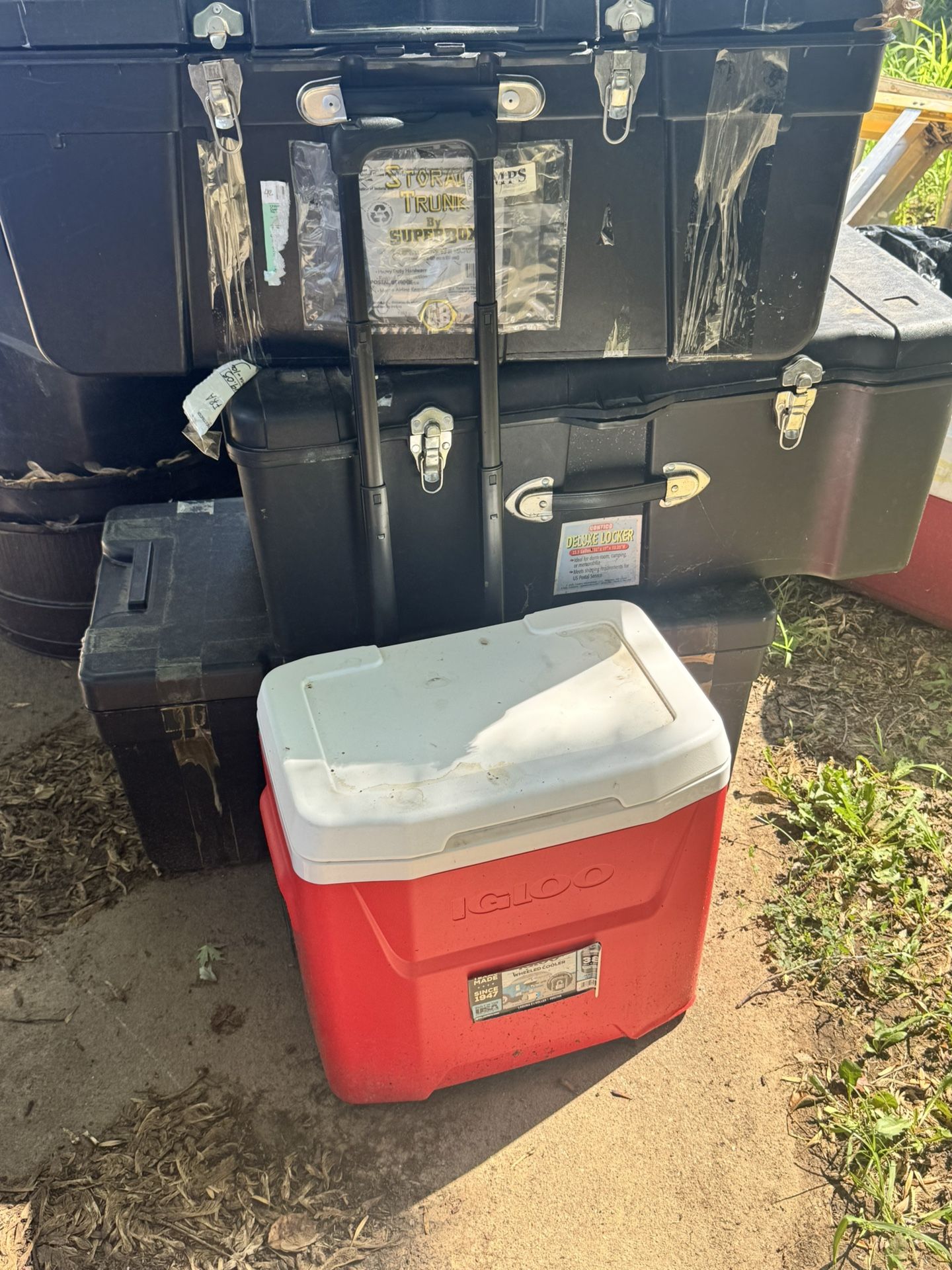 Cooler