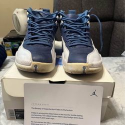 Air Jordan 12 Retro 