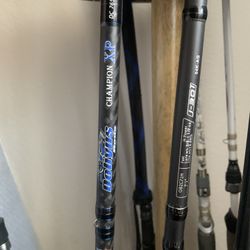 Casting Rod