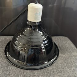Reptile Heat Lamp