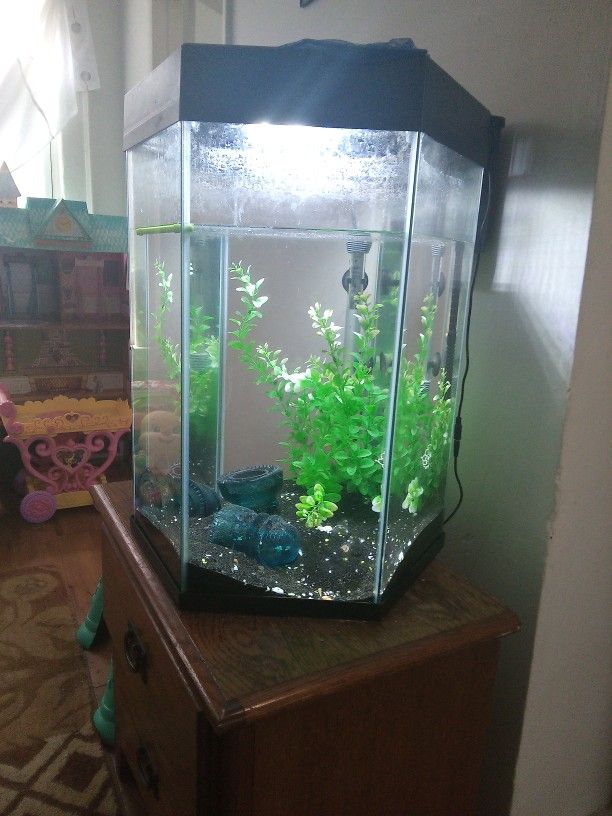 55 Gallon fish tank with accessories