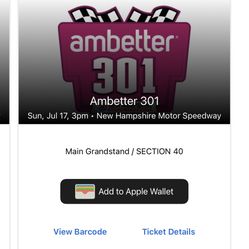 New Hampshire Motor Speedway Ambetter 301 Nascar Race 