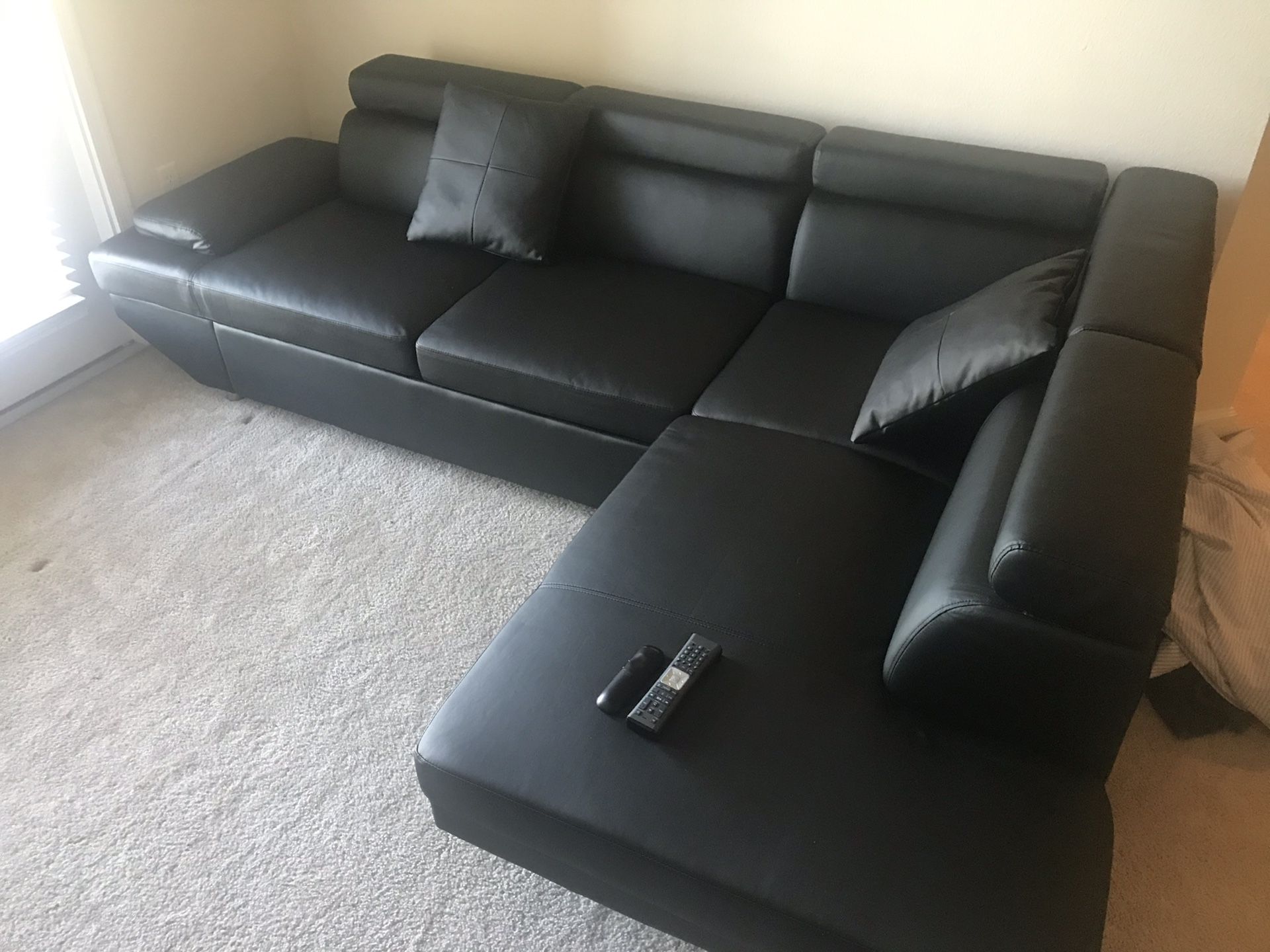 New Sectional Sofa with Pullout