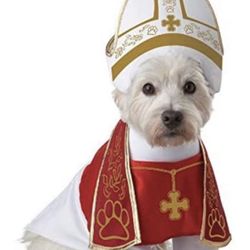 Holy hound pet Costume.