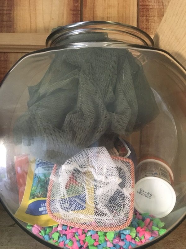 Fish bowl with rocks/net/food etc