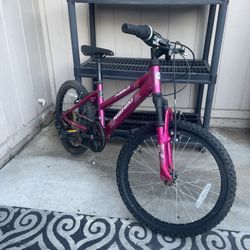 Girls Nishiki Mountain Bike