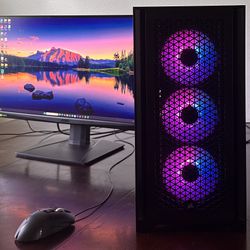 Gaming Computer and Monitor 