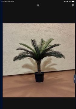 One New 30” Tall Heavy Artificial Sago Palm Tree in Black Planter Pot