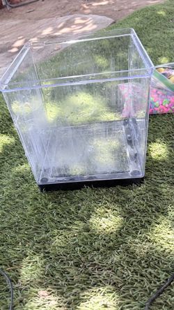 Small fish tank