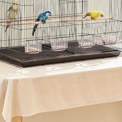 Birds Cage 